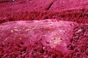 Aerial false color IR image of the north end of Jim Smith Hill. False Color Infrared/True Color Project.