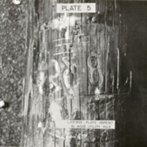 Plate 5. License plate imprint in wood utility pole.