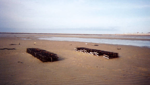 First oyster grant in Provincetown