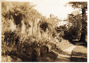 View of the Lyman Estate garden