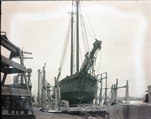 Alice S. Wentworth in dock