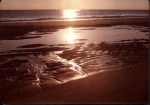 Beach at low tide