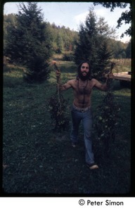 Eliot Blinder with uprooted tomato plants, Tree Frog Farm commune