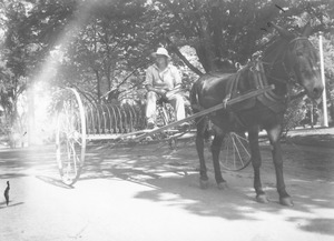 Unidentified man and mule with farm equipment