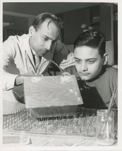 Luis Damilano assembling birdhouse