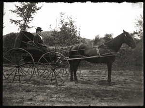 Woman in a carriage, with horse, dressed for cold weather (Greenwich, Mass.)