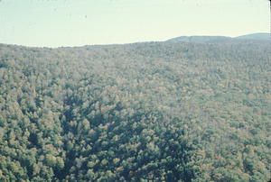 Aerial oblique view Moon Hollow southwestern headwall on 14 October 1971.