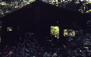 Woodshed near the North Branch of Birch Brook in the Moon Lot / Primmer Farm.