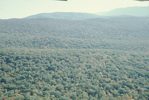 Aerial oblique view of Birch Brook Watersheds on 14 October 1971.