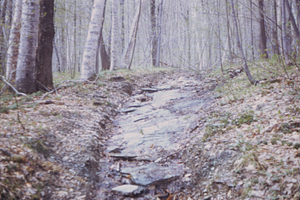 Soil erosion to bedrock on Birch Brook Trail, Middle Branch Birch Brook.
