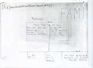 Student family histories: Dillard, Annie Arnold (Dunson, Phillips, Daniel)