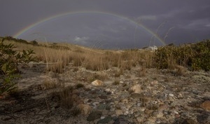 Rainbow over the dunes, Provincetown