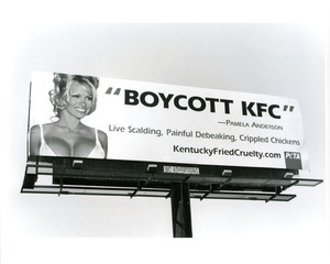 Pam Anderson: "Boycott KFC"