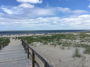 Crane Beach, Ipswich