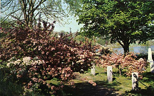 Floral Way, Lake Quannapowitt, Wakefield, Mass.