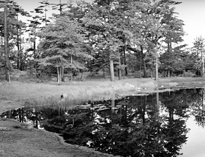 Converse Park: Melrose, Mass.