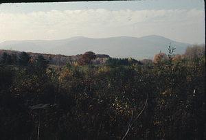 Mt. Williams and Mt. Prospect from West side of Mason's property.