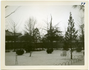 Snowy garden scene at Deoksu Palace