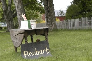 Rhubarb stand: old drop-leaf table on a lawn holding rhubarb for sale