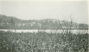 Forestry and Wildlife Management - Mt. Toby Forest