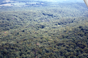 Aerial oblique view eastnortheast of the Moon Lot on 2 Sept 1971.