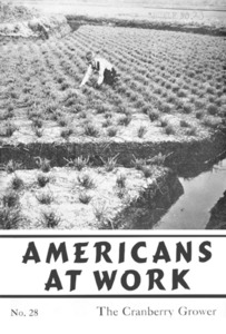 Americans at work : the cranberry grower