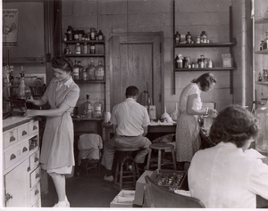 At work in the library in the Bigelow Building