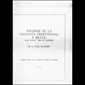 Informe de la pasantia profesional a Brasil.