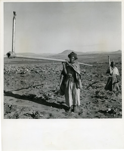 Woman carrying irrigation pipe