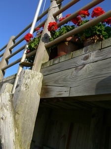 Flowers in pots perched on the edge of a wooden deck