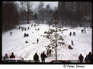 Sledding after a heavy snow, Riverdale, N.Y.