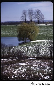 View of pond and fields under light snow