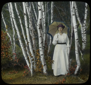 The Grey Birches (lady with parasol among birches)