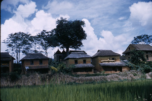 Row houses with thatched roofs