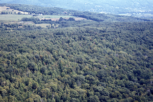 Aerial oblique view NE Toward Mason's Farm from over 13-33 on 2 Sept 1971.