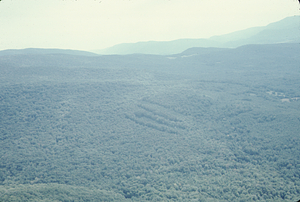 Aerial oblique view to the southeast of the Birch Strips in Moon Hollow on 2 Sept 1971.