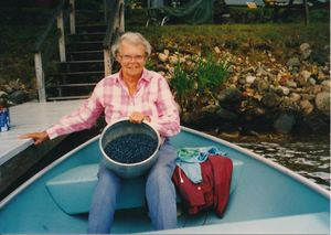 Lake Attitash blueberries