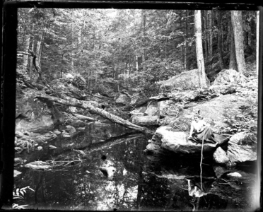 "Below the Falls" Reflection