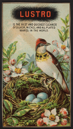 Trade card for Lustro, The Lustro Company, 171 Duane Street, New York, New York, undated