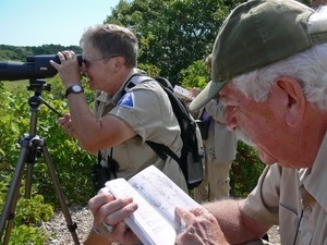 Jeanette Bragger and Irwin Shorr (Mass Audubon Society volunteers) using a scope to watch wildlife, Wellfleet Bay Wildlife Sanctuary