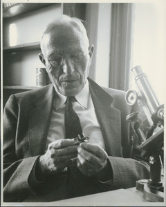 Charles P. Alexander sitting with microscope