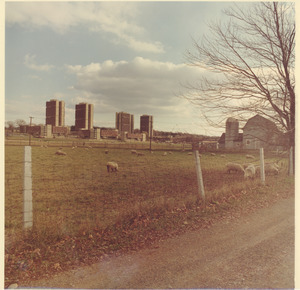 Southwest Residential Area