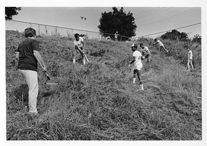 Group of unidentified young men clearing a field of grass