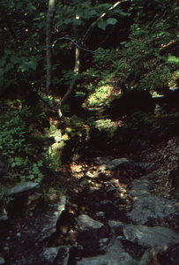 Trail at entrance of the Snow Hole.