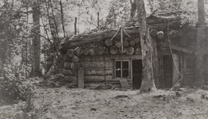 View of a large, one-story log cabin in the woods