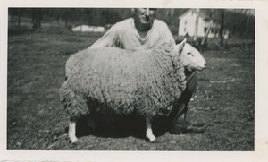 Cheviot sheep with Robert Brackley, New Salem Academy Class of 1955