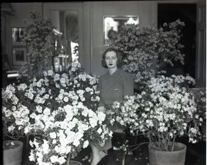 Daughter of Ben Niseketm [sic], seated indoors among blooming azaleas in pots
