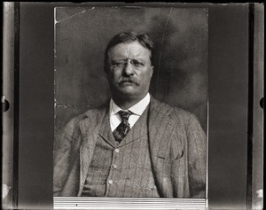 Theodore Roosevelt (copy image)