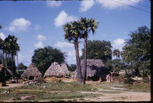 Small houses in a village near Chennai