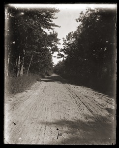 Dirt road near Massachusetts Agricultural College